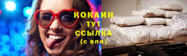 крисы Абаза