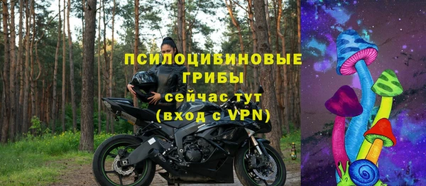 прущая мука Алзамай